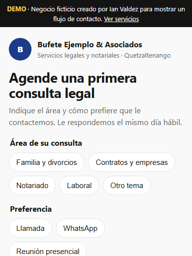 Demo de consultas para bufete